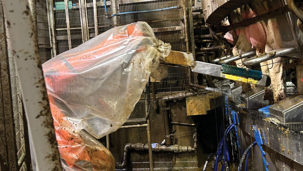 Pre-brush robotic arm