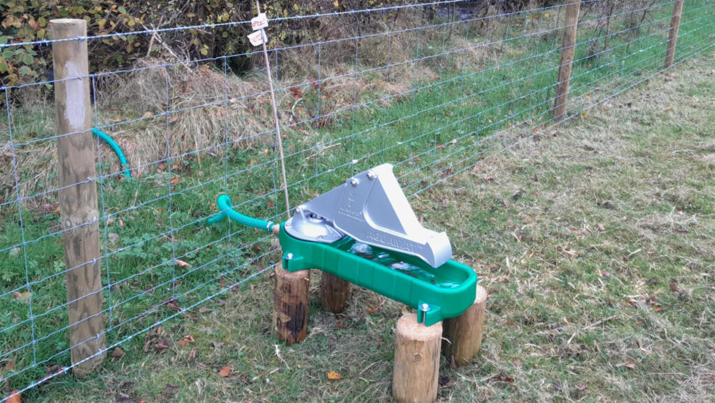 Stream corridor at Afon Eidda