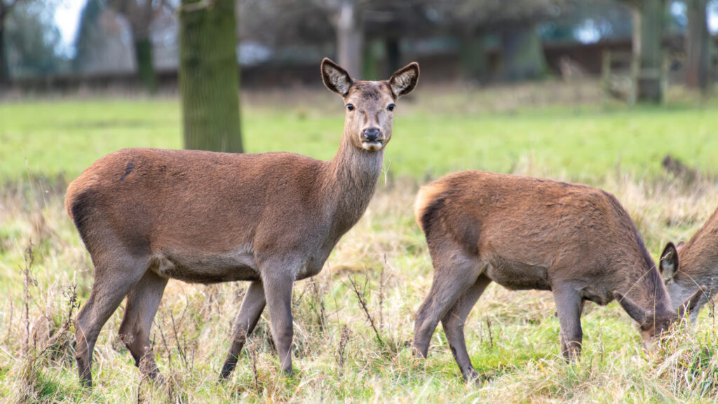 © Rob Cleaver/iStockphoto