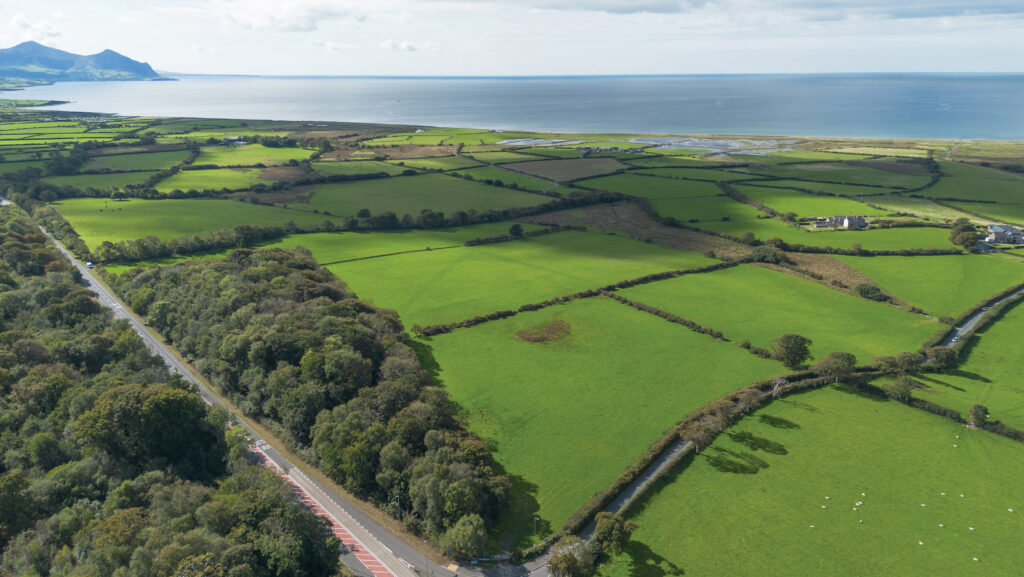 Aerial view of farmland and woods