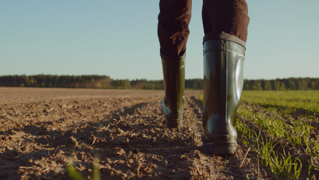 Caerphilly farmer plans marathon record wearing wellies