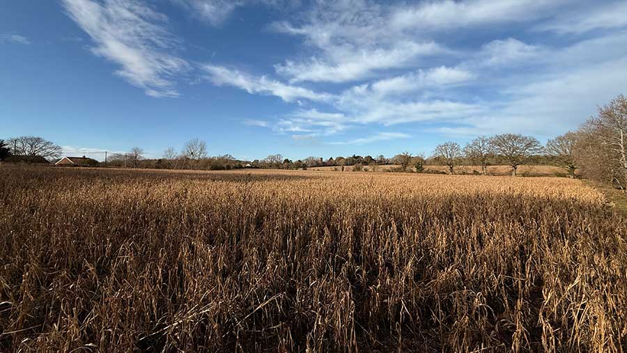 Why early action on BNG is critical for farmers