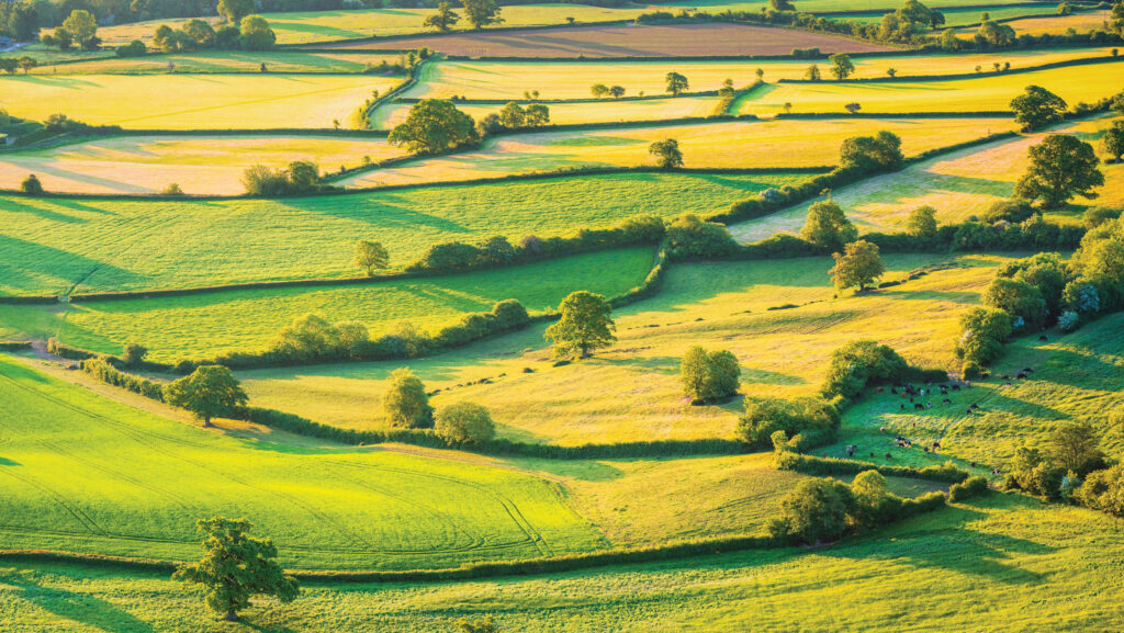 © georgeclark/iStockphoto