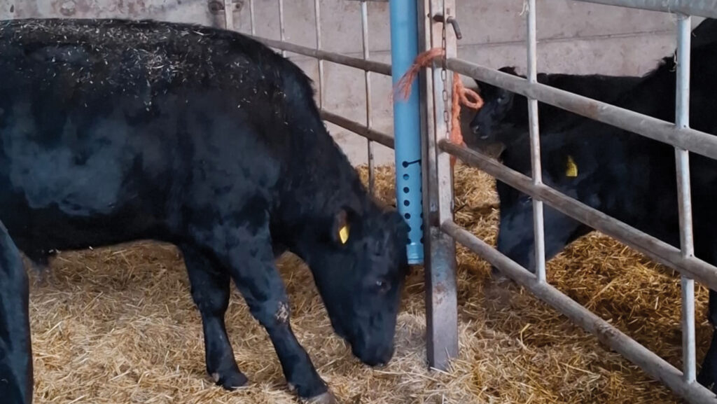 Dai Evershed ammonia monitor
