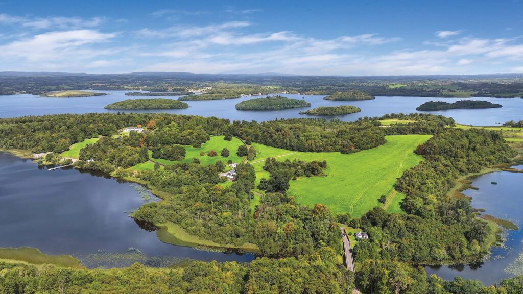 Farmland market in 2025: Northern Ireland