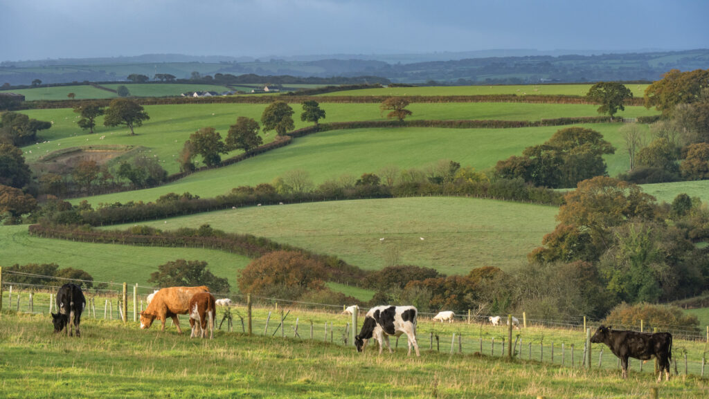 © Kevin White/iStockphoto