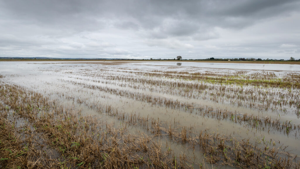 Drone shot of flooded farmland
