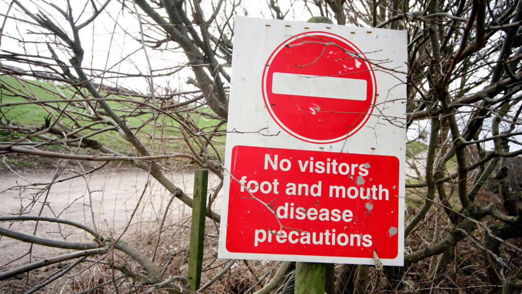 Farmers warned as foot-and-mouth confirmed in Cyprus