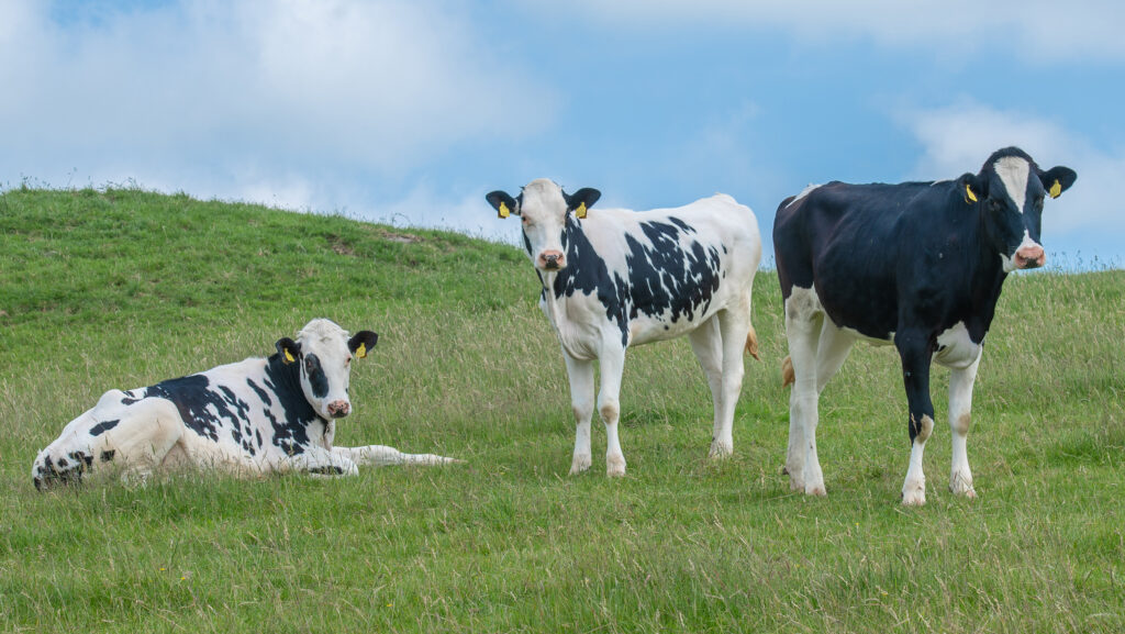 How slurry investment will slash dairy unit’s energy bills
