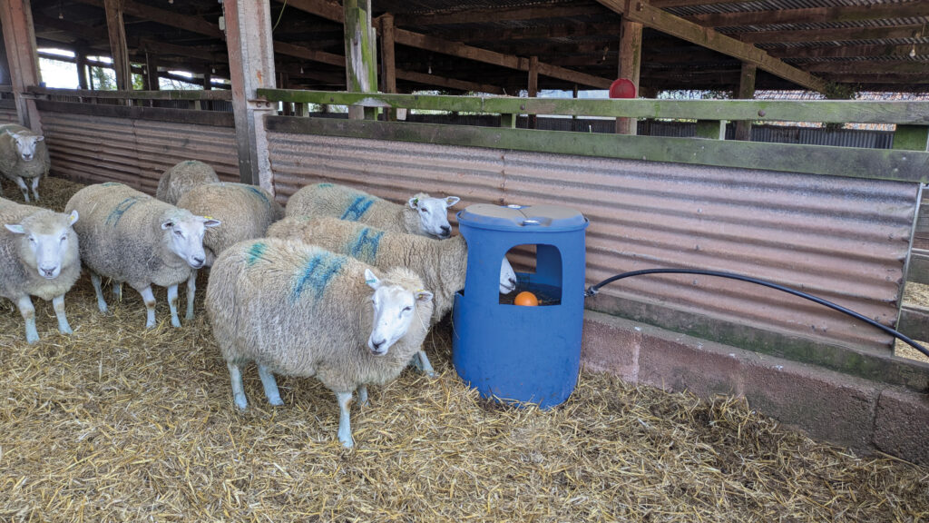 Ken Hopkins' sheep drinkers