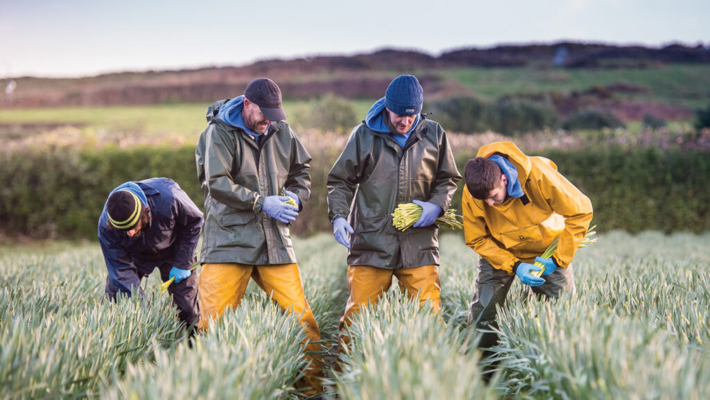 Farming partnership wins appeal against £43,438 VAT penalty