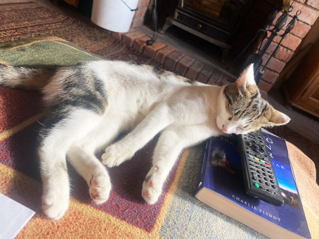 Tabby the cat asleep on Charlie Flindt's book