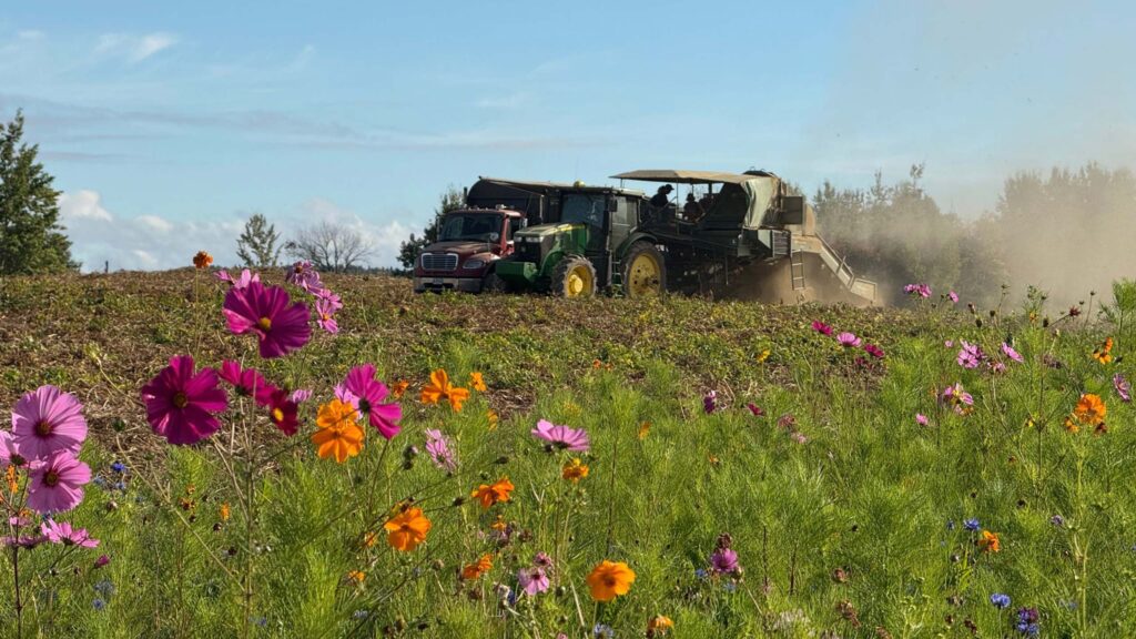 McCain launches Farm of the Future in Yorkshire