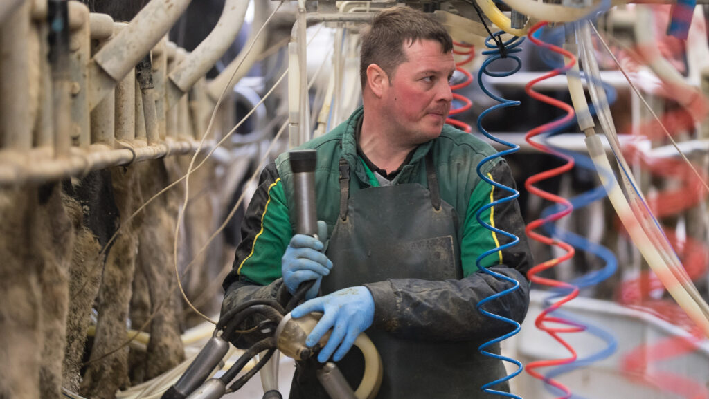 Employ more dairy staff for fewer hours, farmers advised