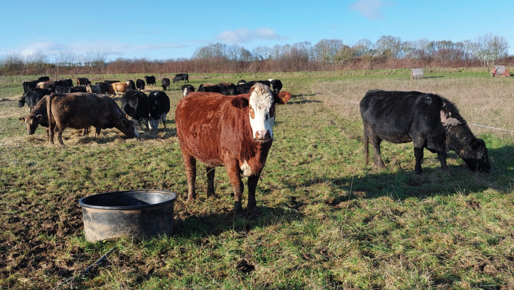 © MAG/Shirley Macmillan