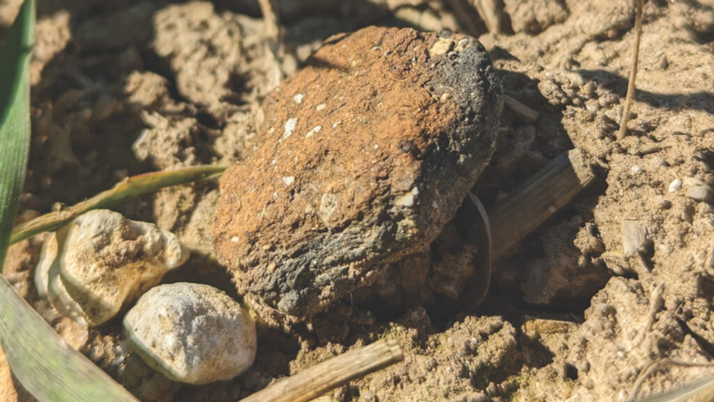 Fragment of Bronze Age pottery
