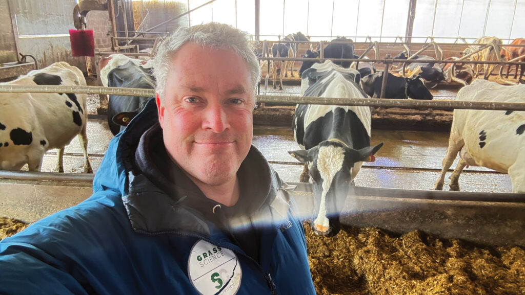 Man inside a dairy cattle shed