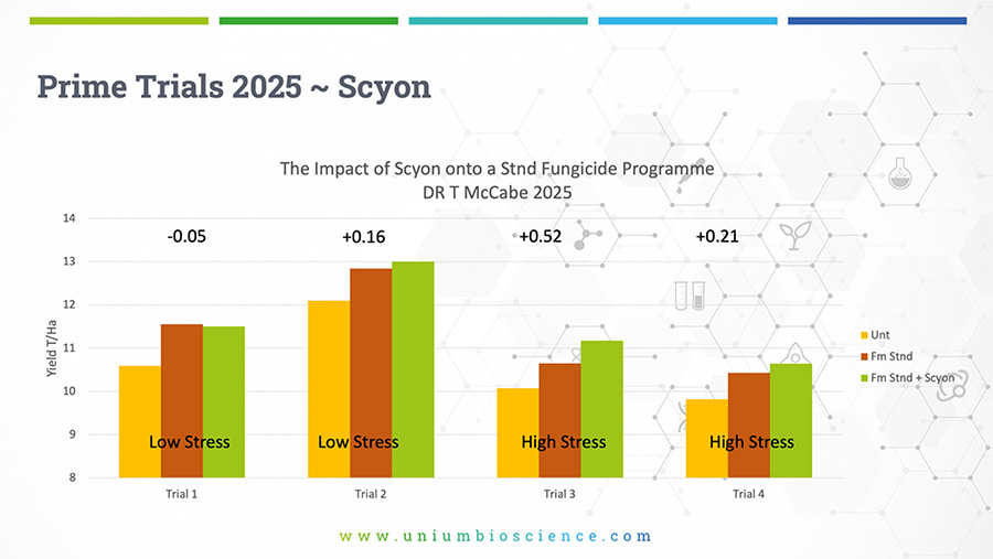 Prime Trails 2025 graph