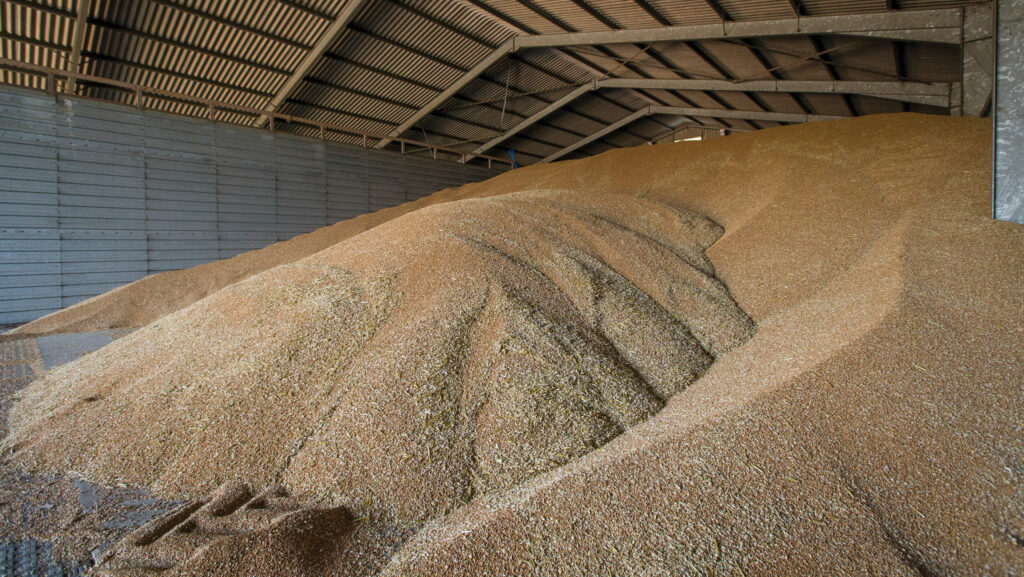 Global grain markets briefly spike in response to US tariffs