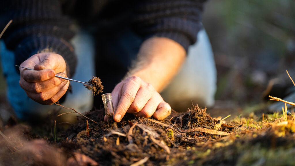 Livestock farmer sustainability initiative launched by Dunbia