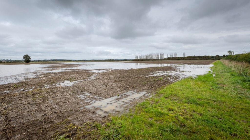 © Gary Naylor Photography