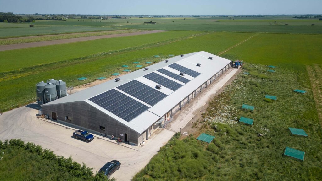 UK egg sector faces housing investment gap