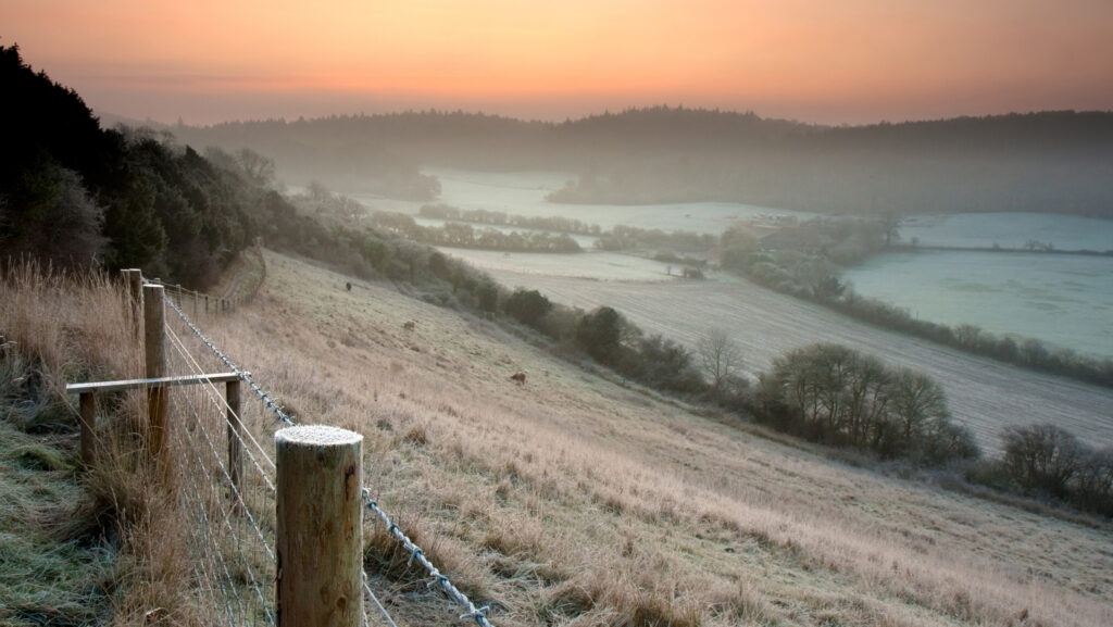 Reform UK plays down Goldsmith role on green policy
