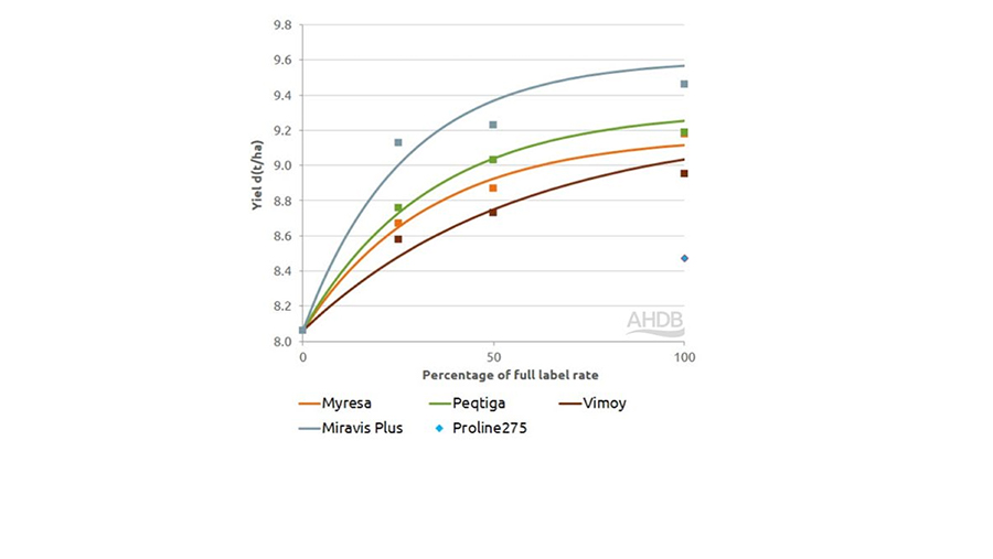 AHDB Fungicide performance trials. Septoria Yields 2025 (4 trials)