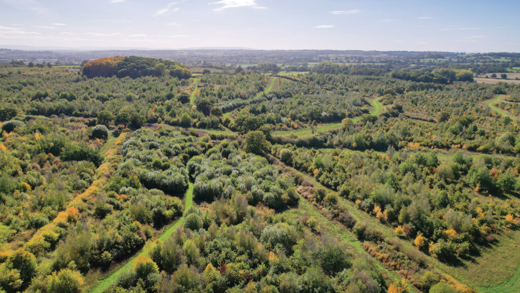 © Heart of England Forest