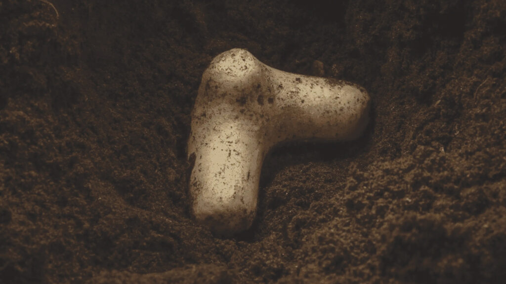 Muju Earth's Aeropods in soil