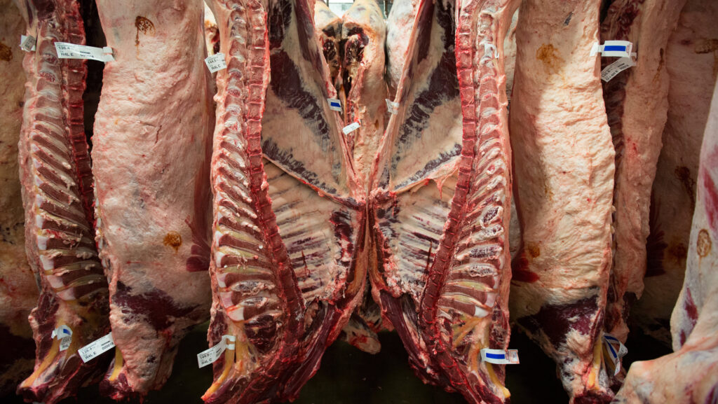 First tariff-free shipment of UK beef arrives in US