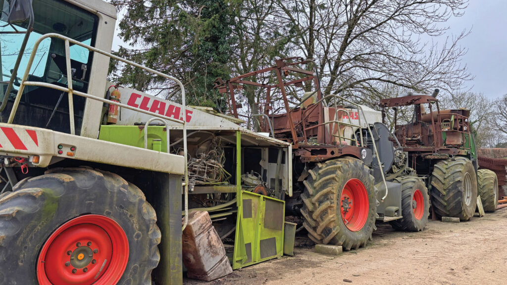 Row of older foragers