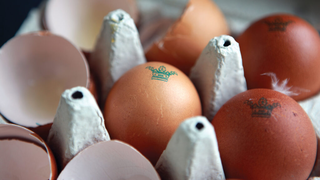 © Lynne Sutherland/Alamy Stock Photo