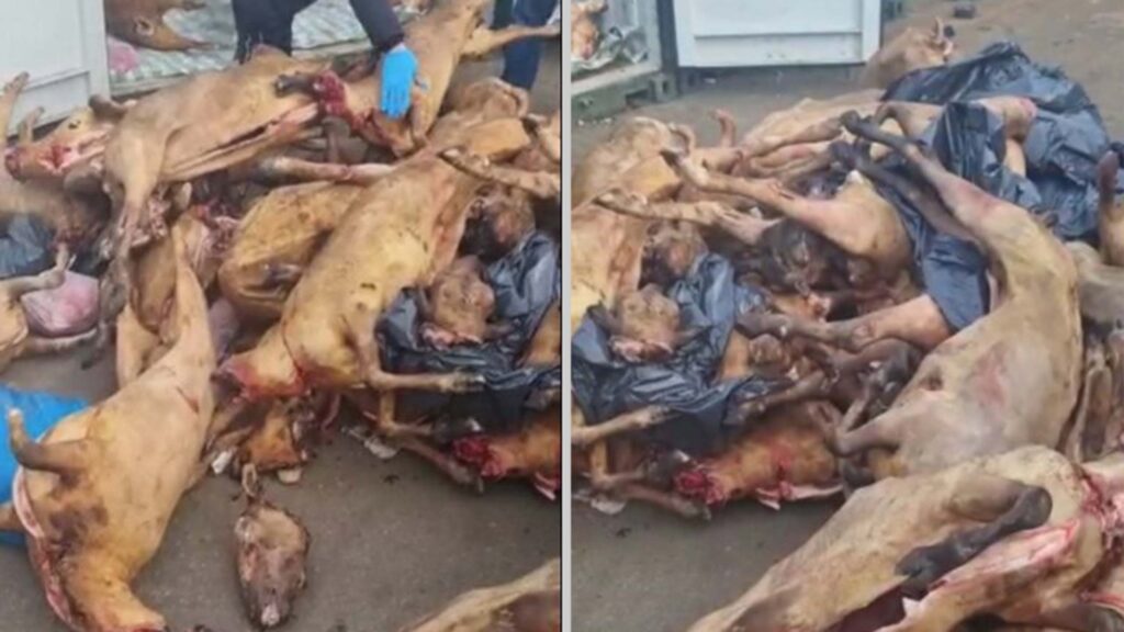 © Food Standards Agency