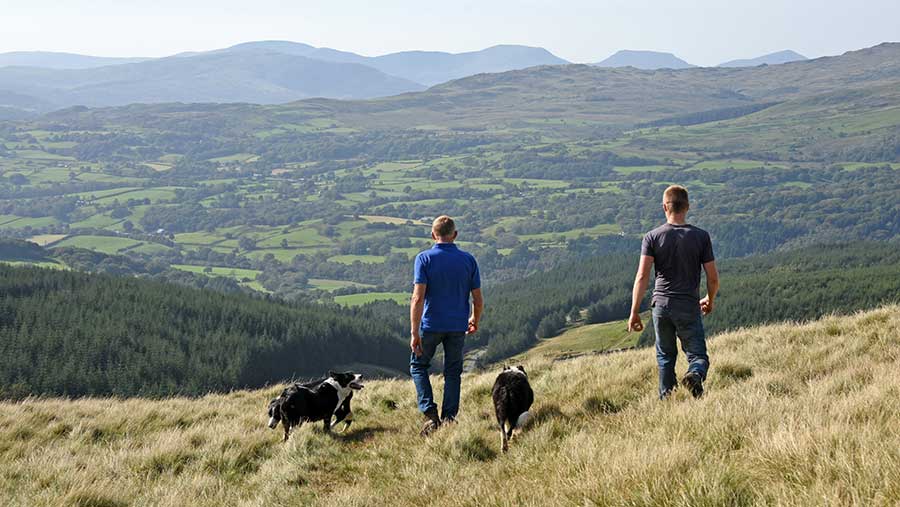 Hybu Cig Cymru sets out vision for the Welsh red meat industry