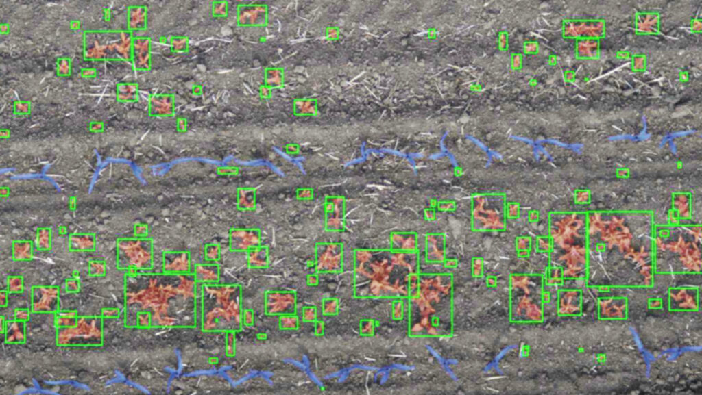 Drone field analysis imagery