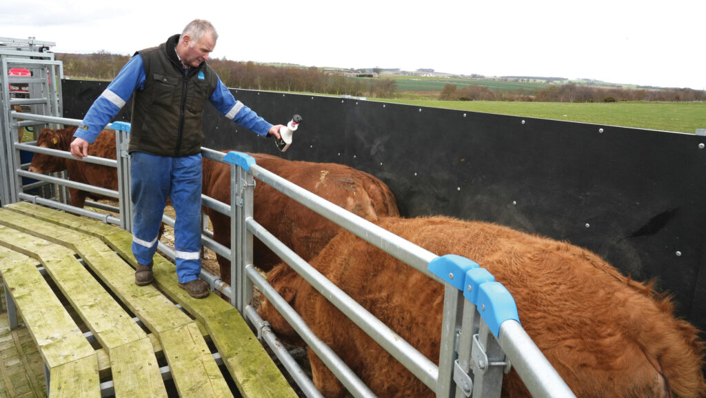 Elevated platform at Chapel of Barras Farm