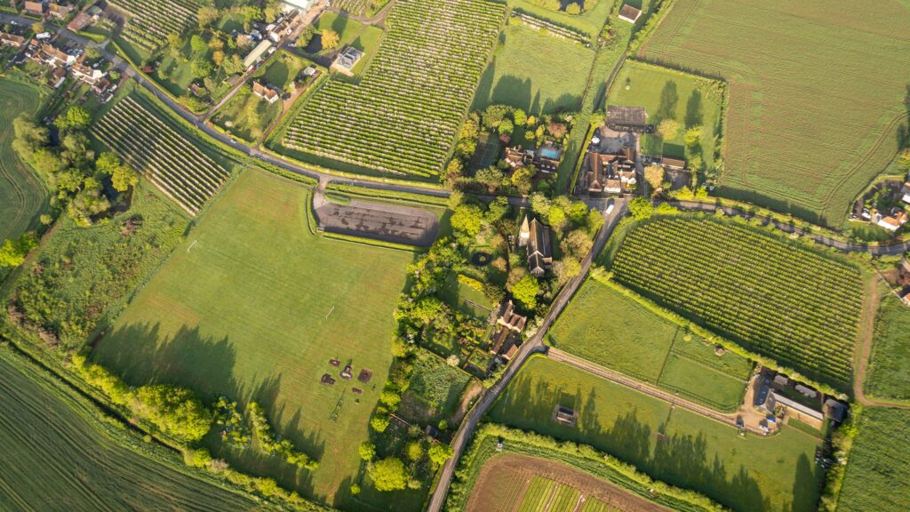 Food production pledge in Defra land plan questioned