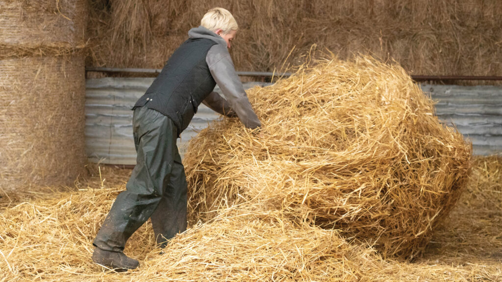 Farmer working with straw in a shed