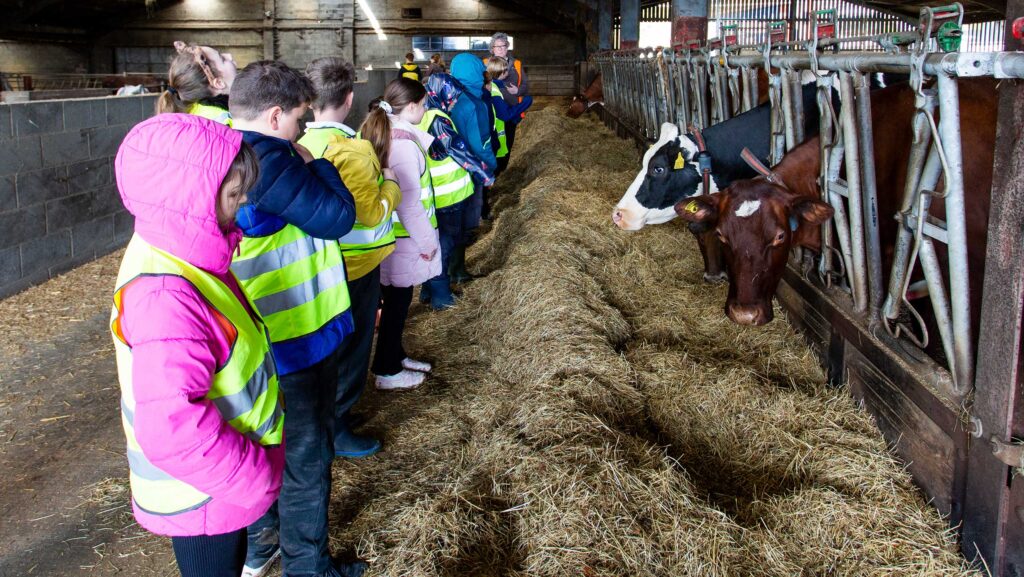 Children from Tangmere School visiting Goodwood Farm © Johnathan Swann
