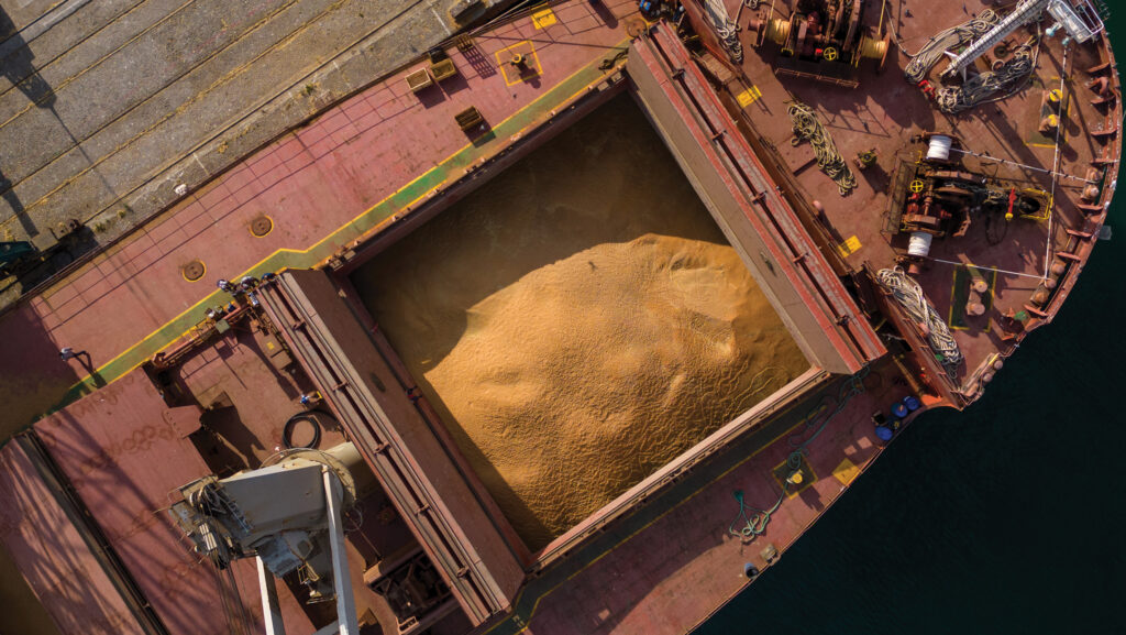 © sandsun/iStockphoto