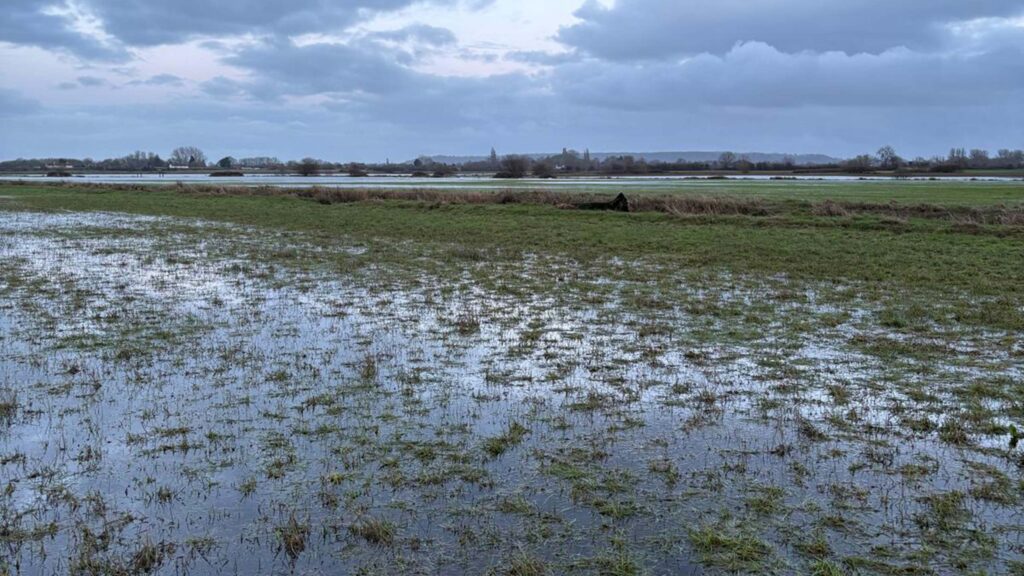 Grazing land is still underwater at West Yeo Farm © James Winslade