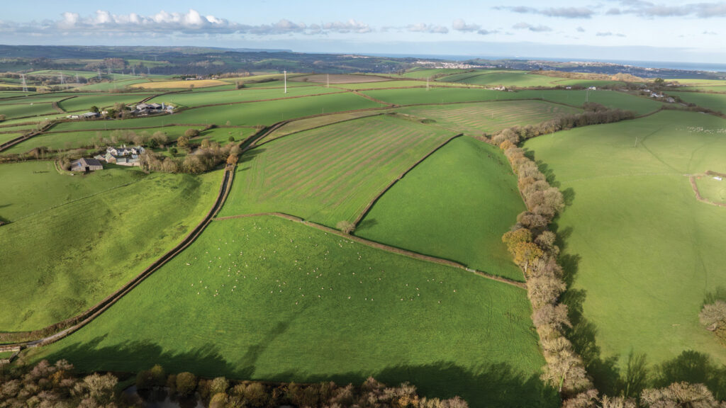 Aerial view of fields and hedges