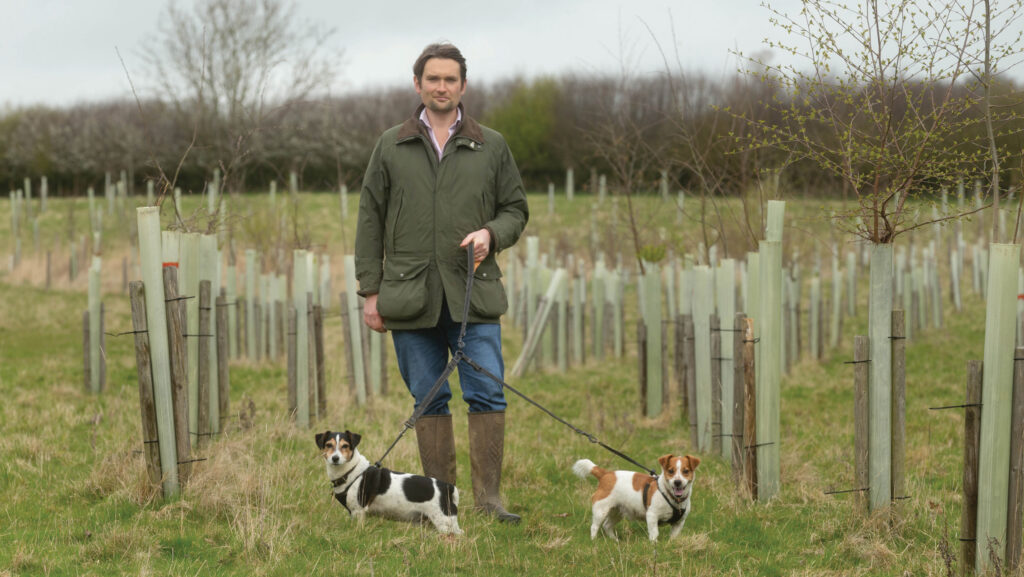 Joe Stanley © Tim Scrivener