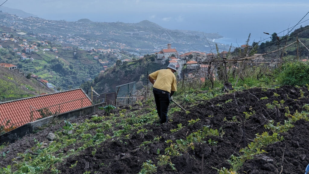 Farming in Madeira