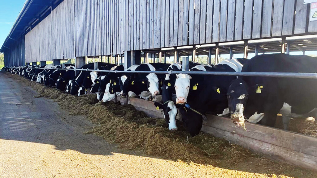 Manor Farm Dairy © John Cartledge