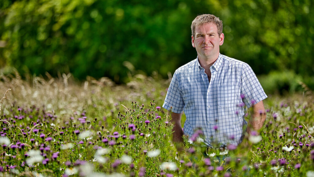 Farmer in a wildflower meadow