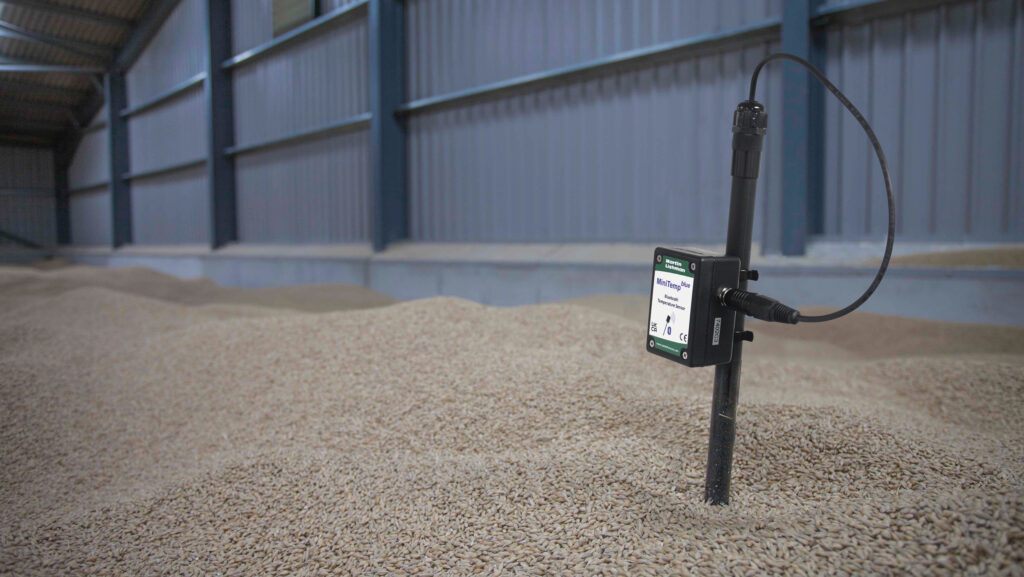 MiniTemp Blue in grain