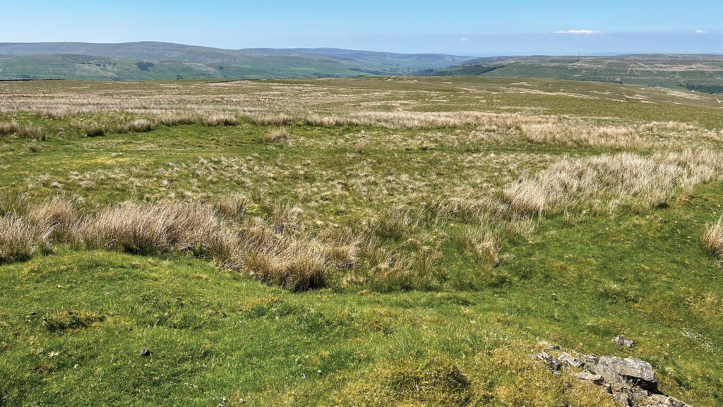 Farmland at Nenthead, Cumbria