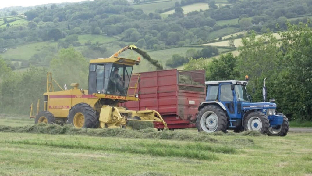 Forager at work with tractor and trailer